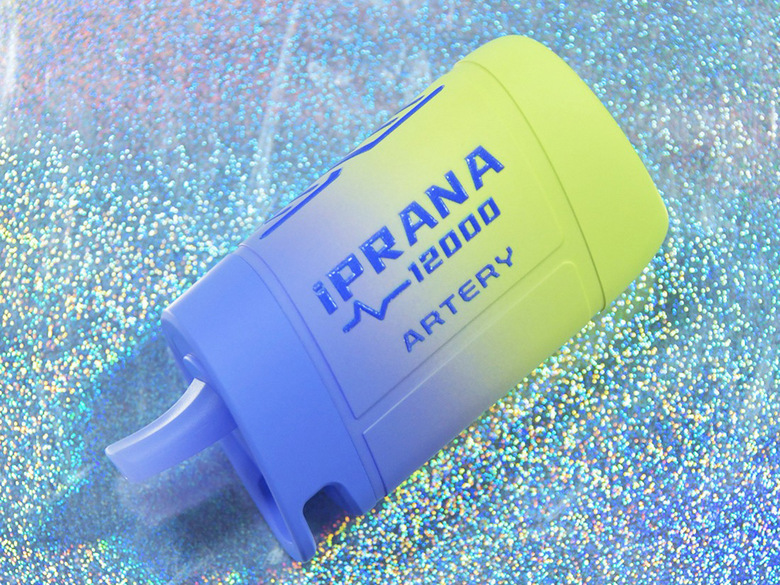 iPRANA 12000 Disposable Kit