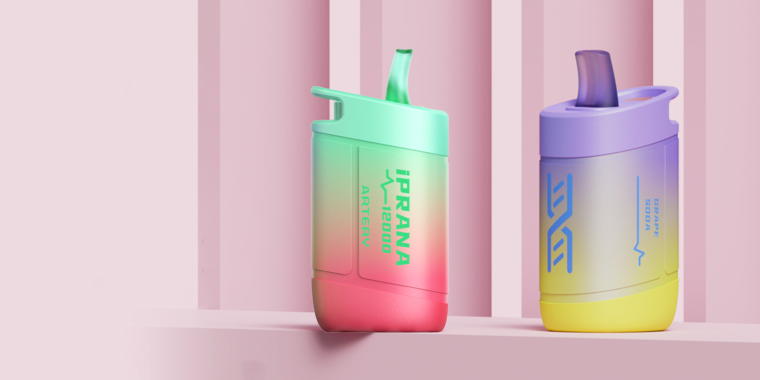 iPRANA 12000 Disposable Kit