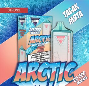 Электронная сигарета GANG ARCTIC 20000 (Табак с мятой)